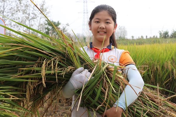 肥東琥珀莊園最新消息全面解析