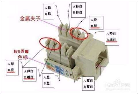 最新網(wǎng)線插座接法視頻教程，一步步教你如何正確接線